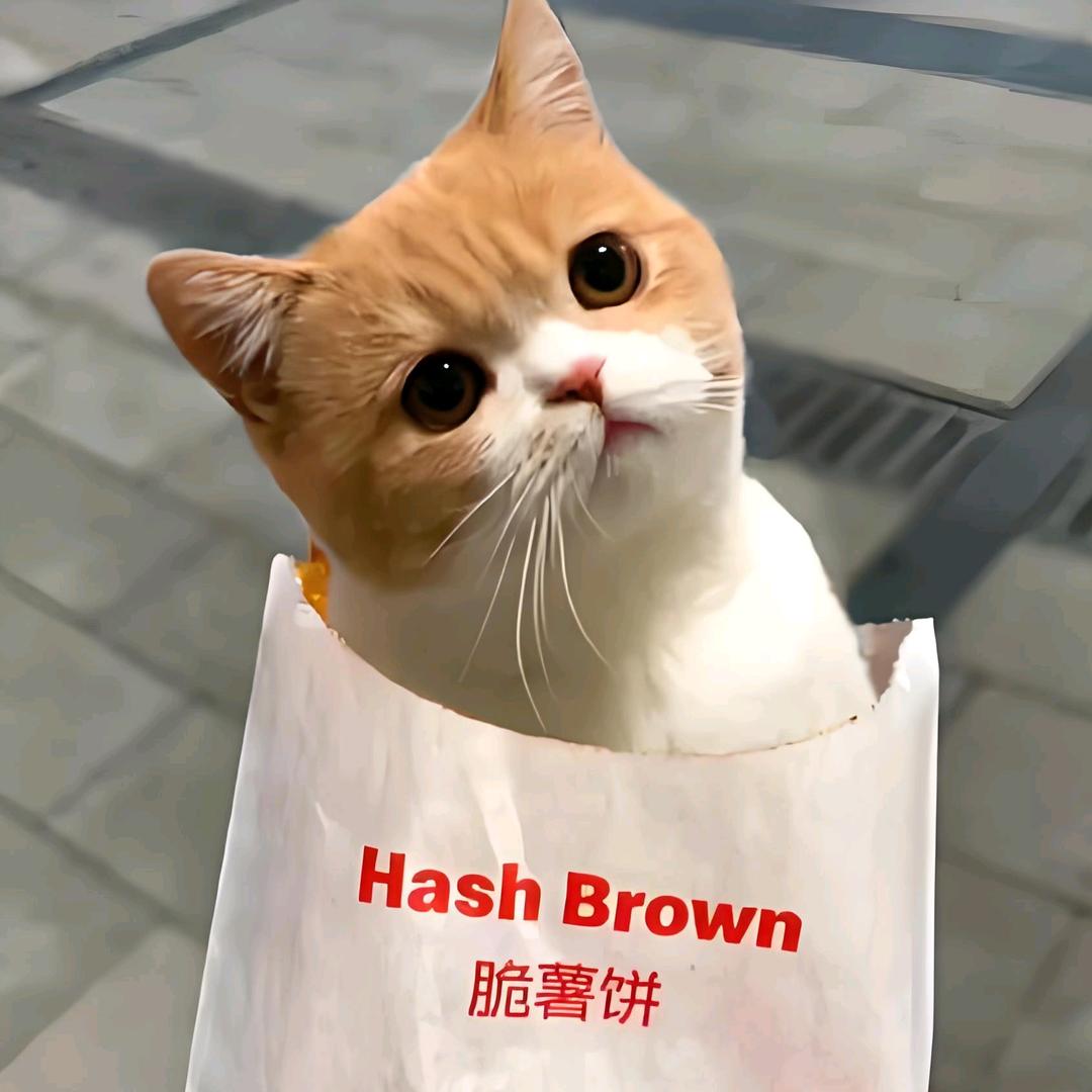 娇娇