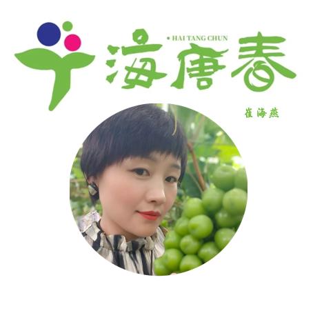 海唐春的海燕