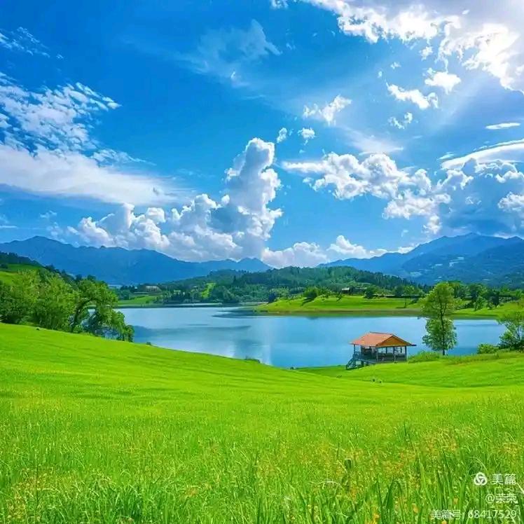 随缘