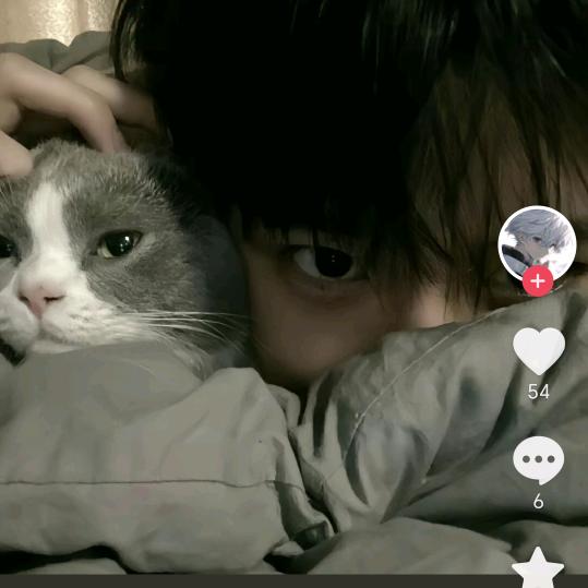 颜色不一样的烟火