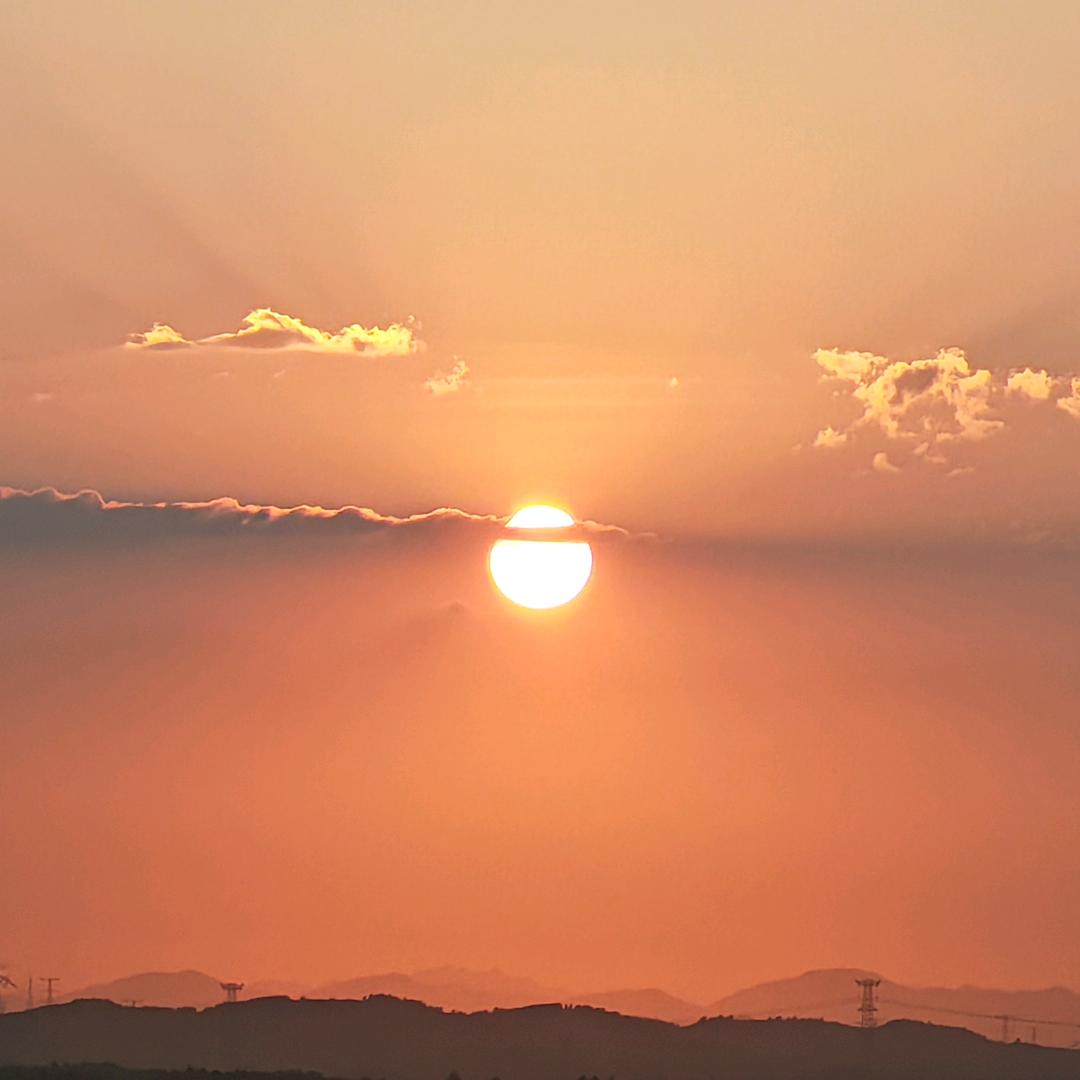咖啡里的茶……依然是苦的