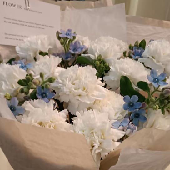 小平💔《伤感情歌》