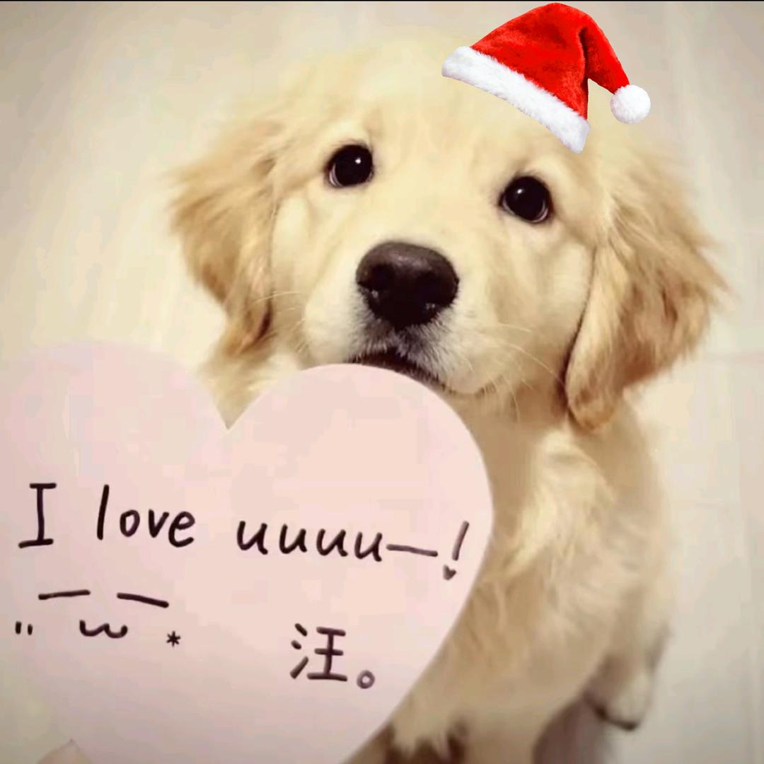 𝑿𝒊𝒍𝒂𝒈𝒏😎😎😎