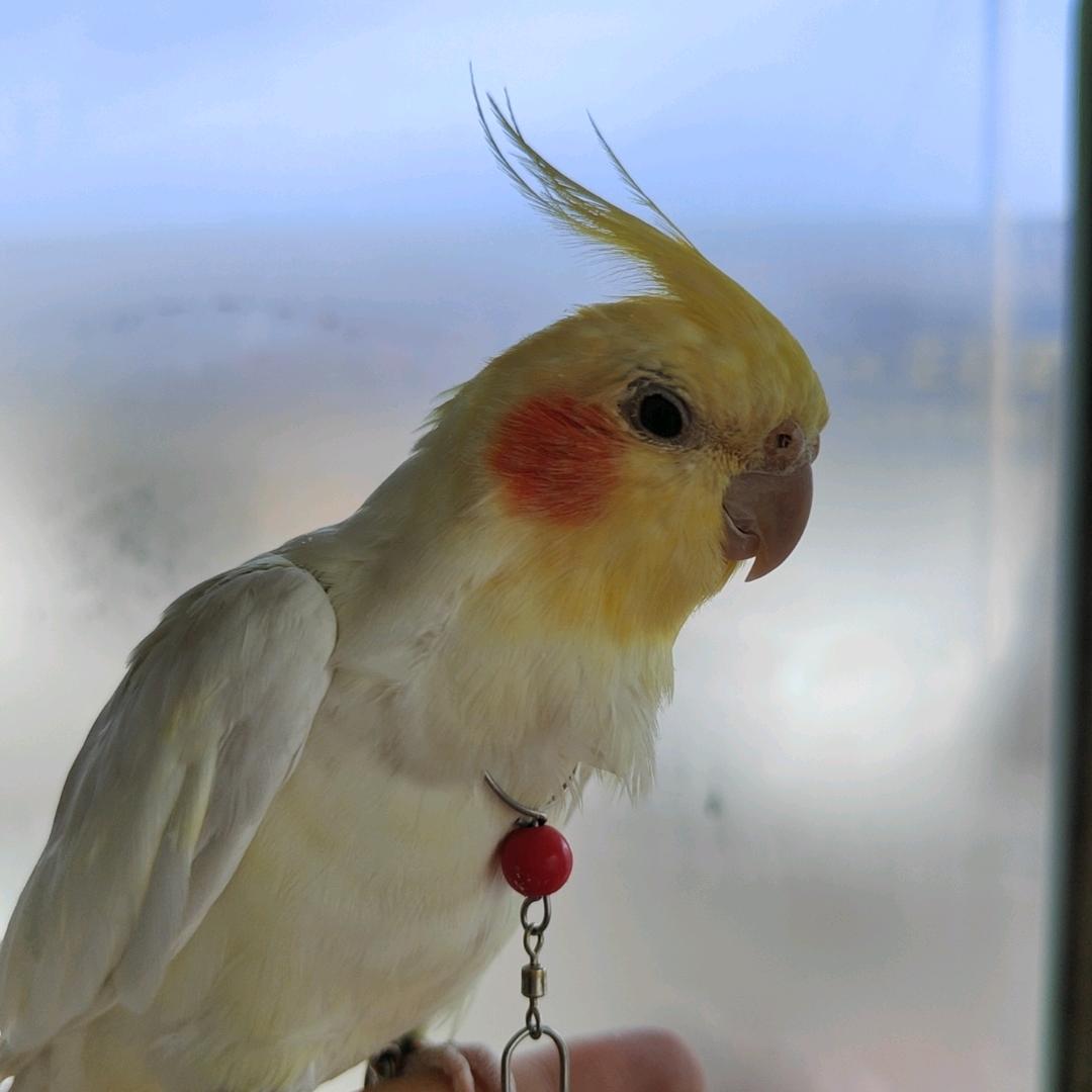 ～大壮～