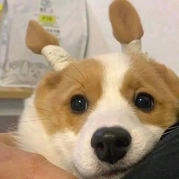 ou