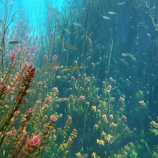 💕烟雨江南💕