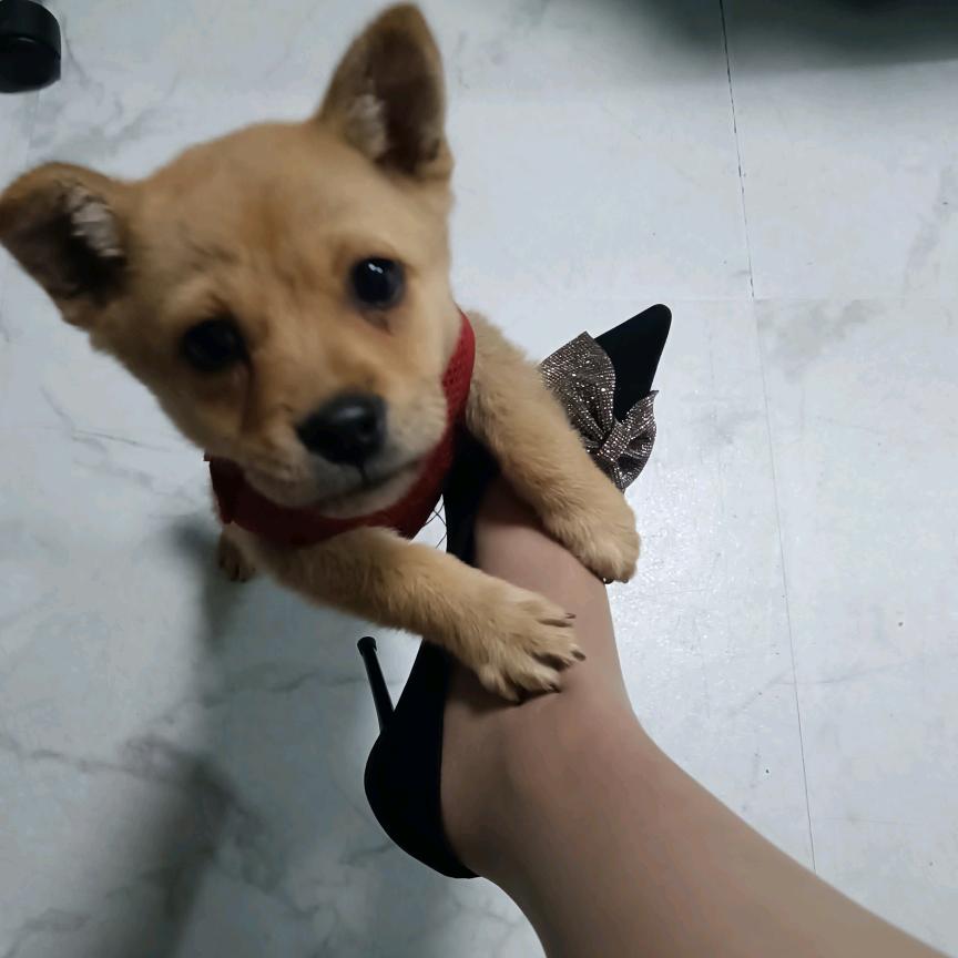 黑黑👠