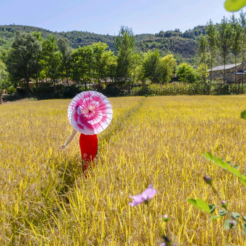 富县林凤旗袍文化艺术
