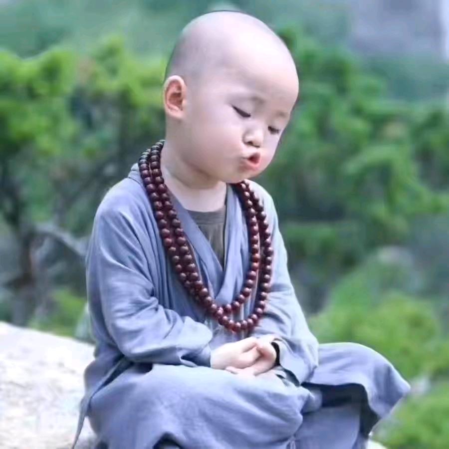 我是一个虫虫
