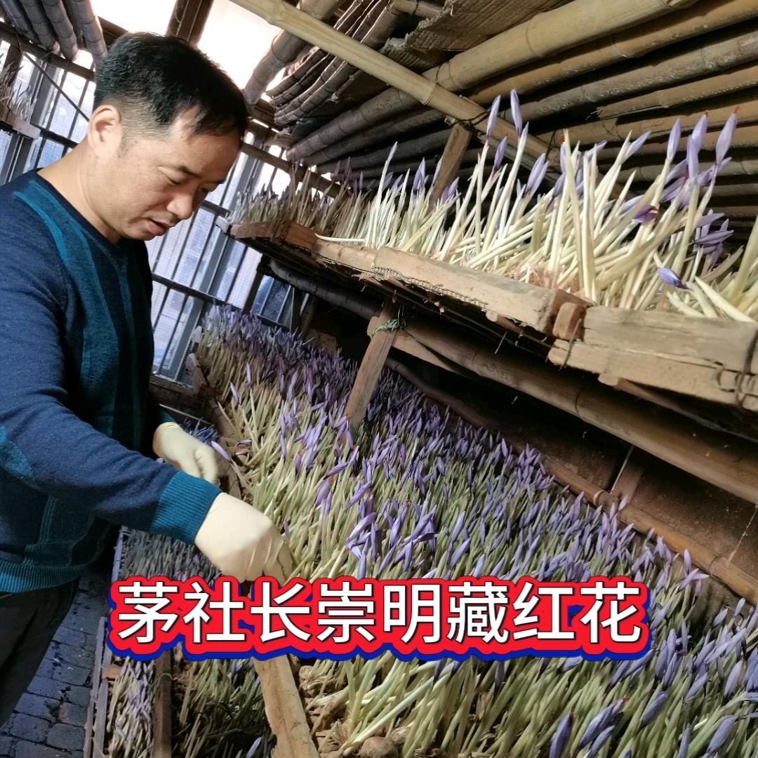 虹沙营养食品专营店