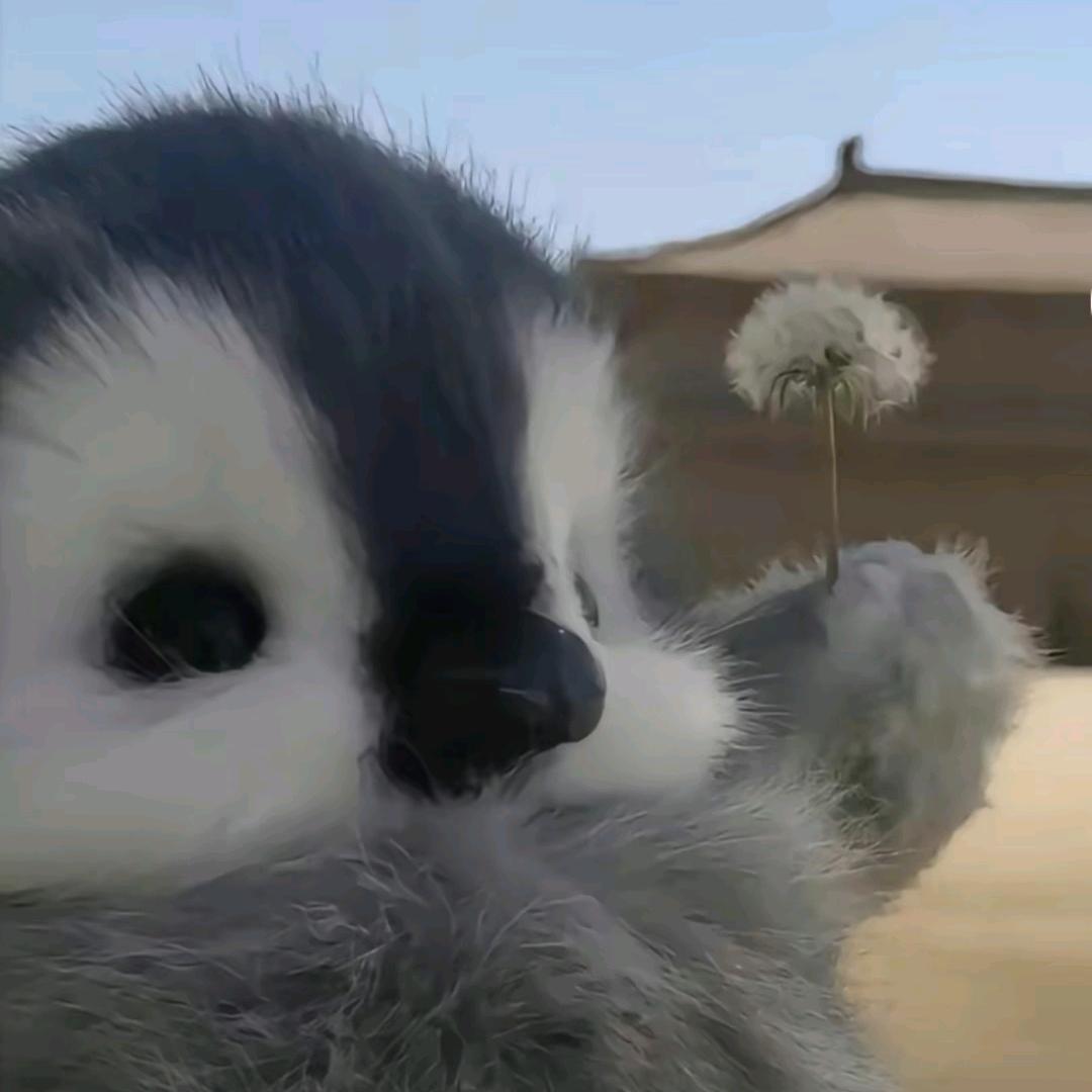 彦子飞来