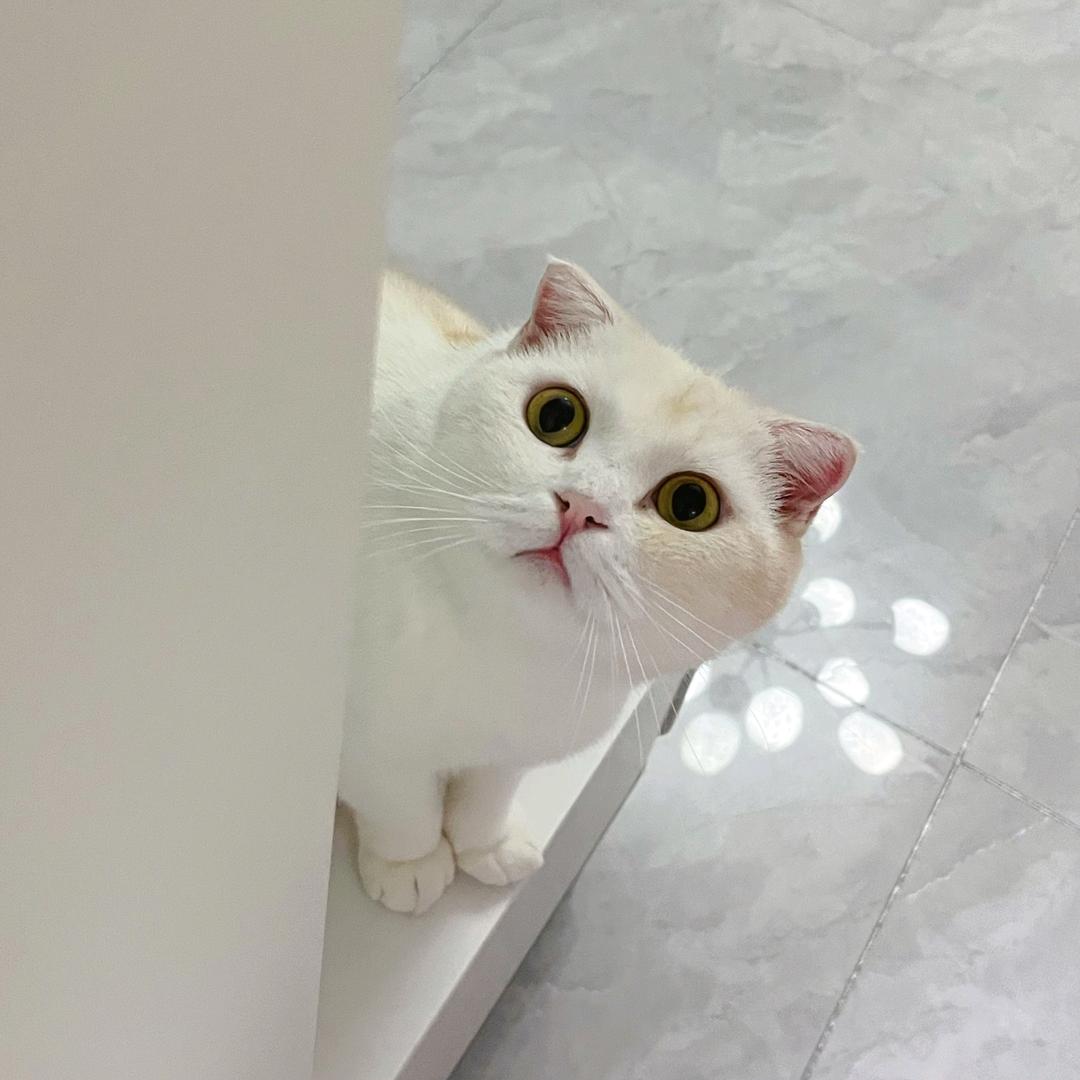 回味
