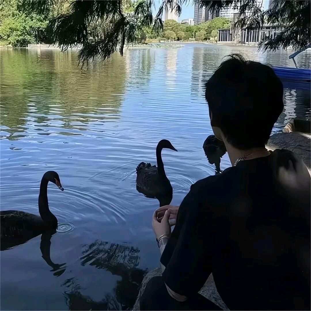 飞凡
