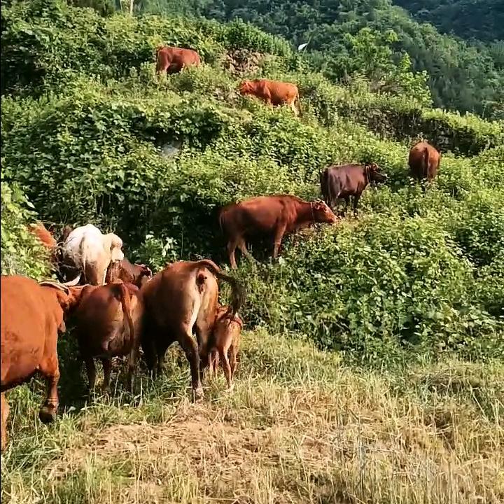 向钱看