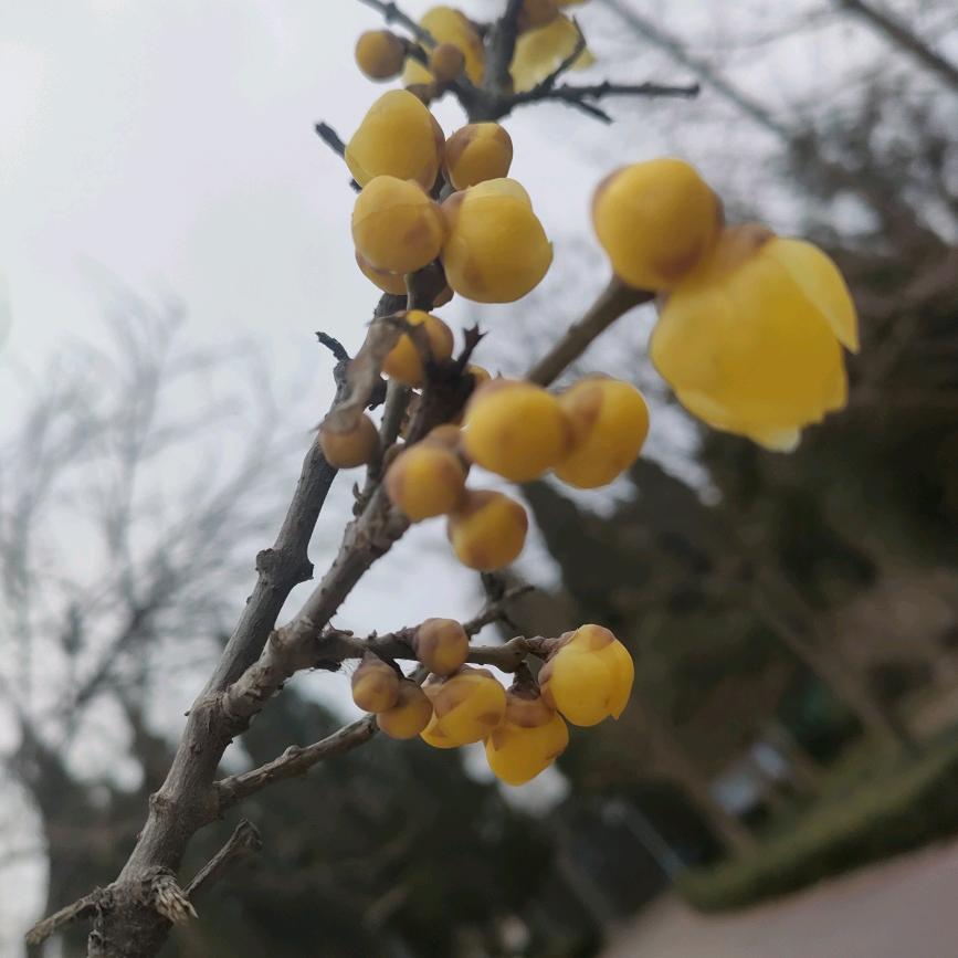 慵懒的暖暖💍