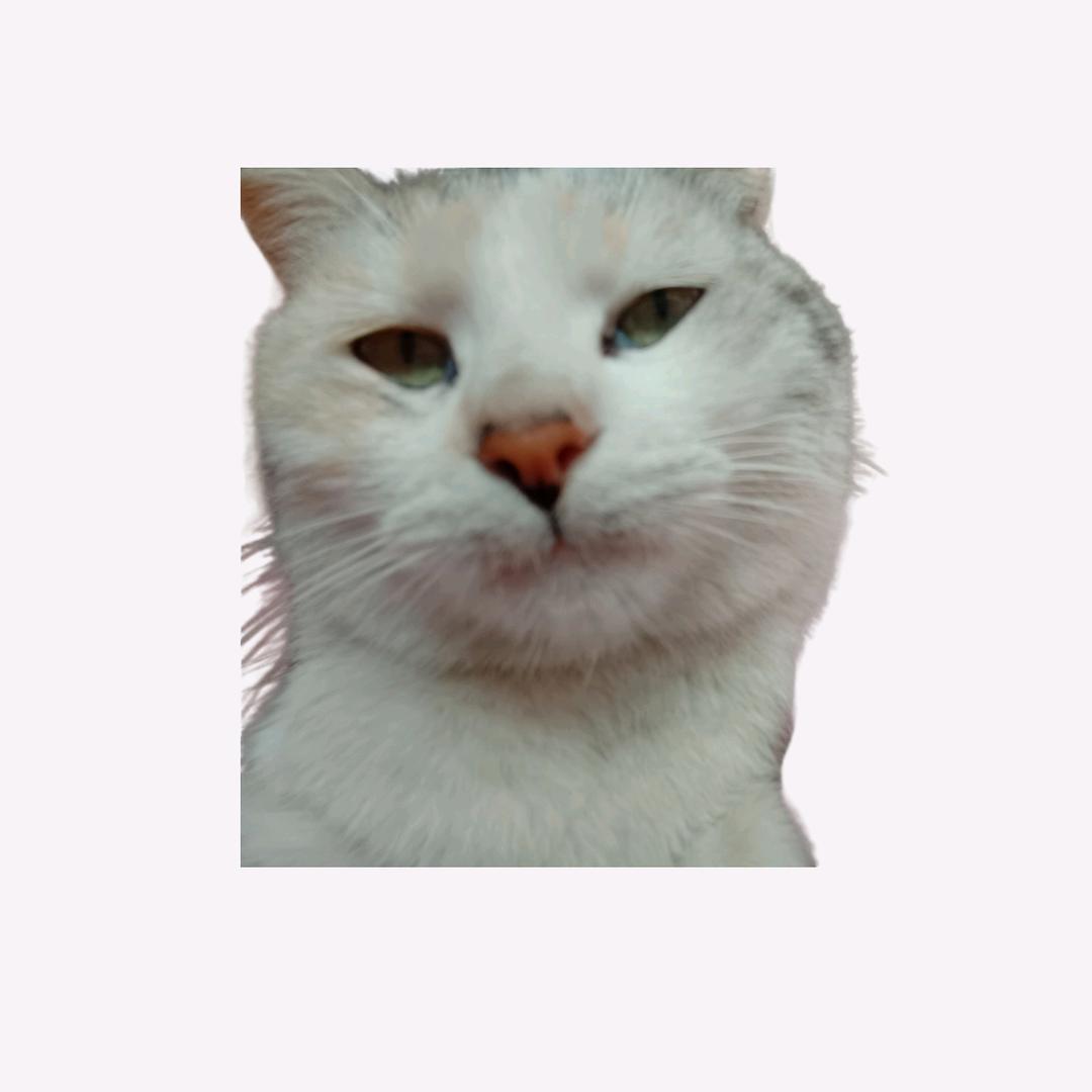 暮荻