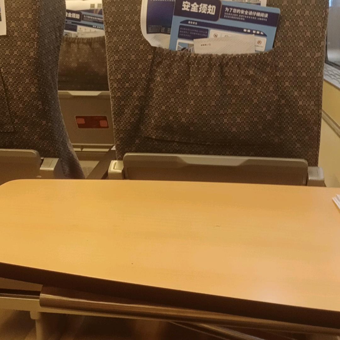 胖猫