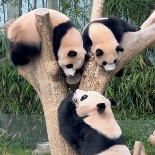 永远都是泪。