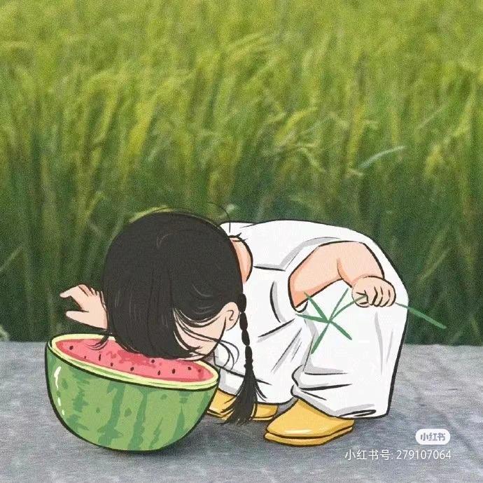 寻觅拾光