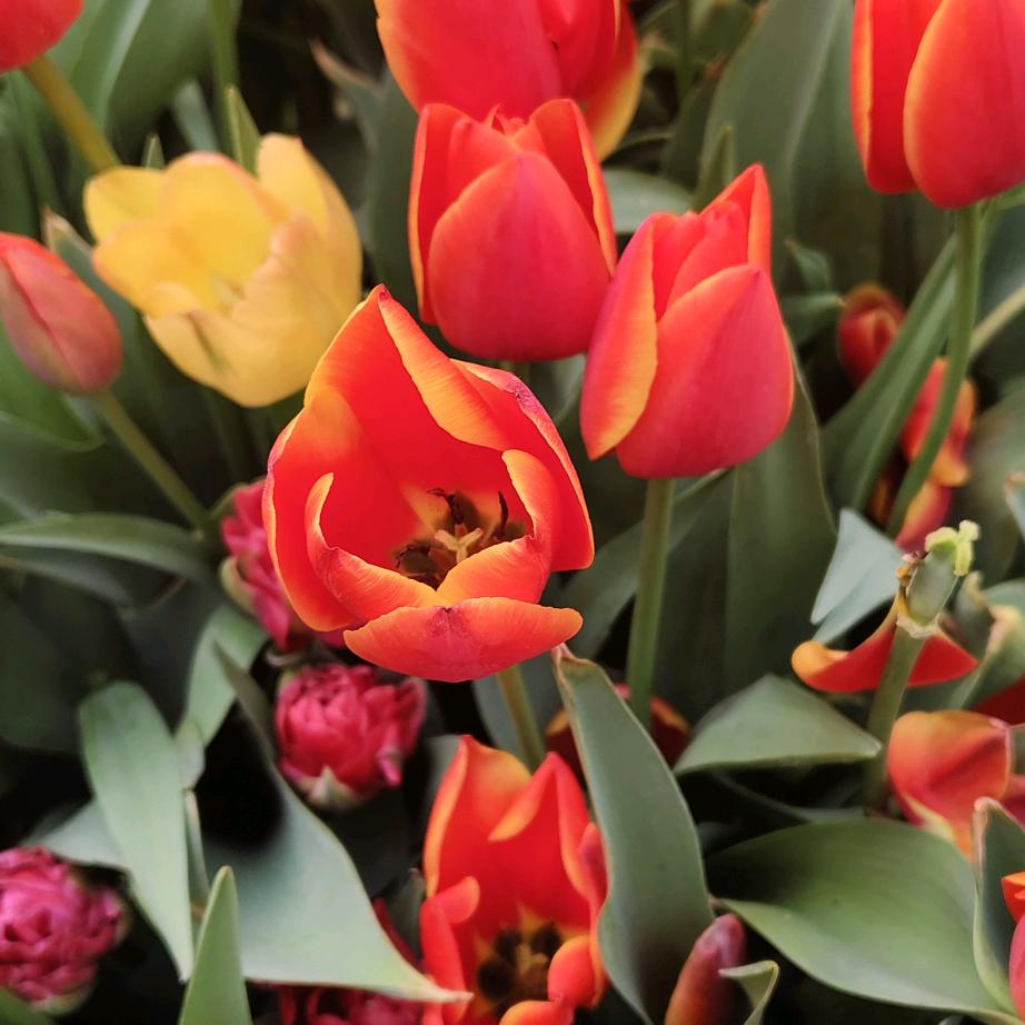 开心快乐每一天