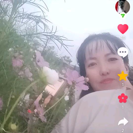 给生活加点蜜