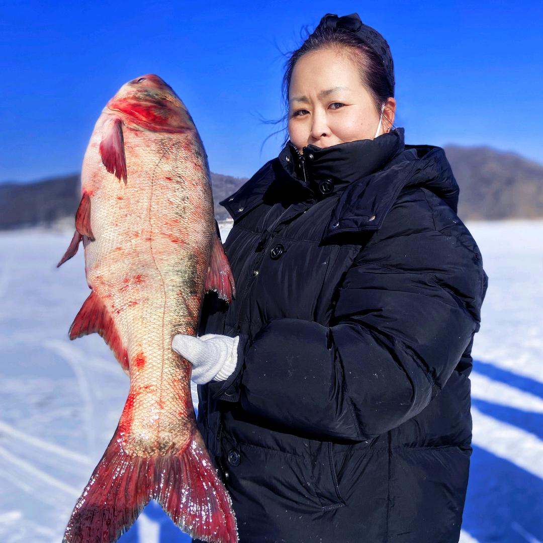 松花湖江之渔燕子