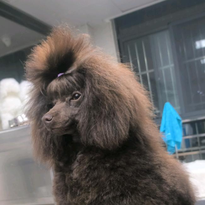 小伟（努力赚钱版）