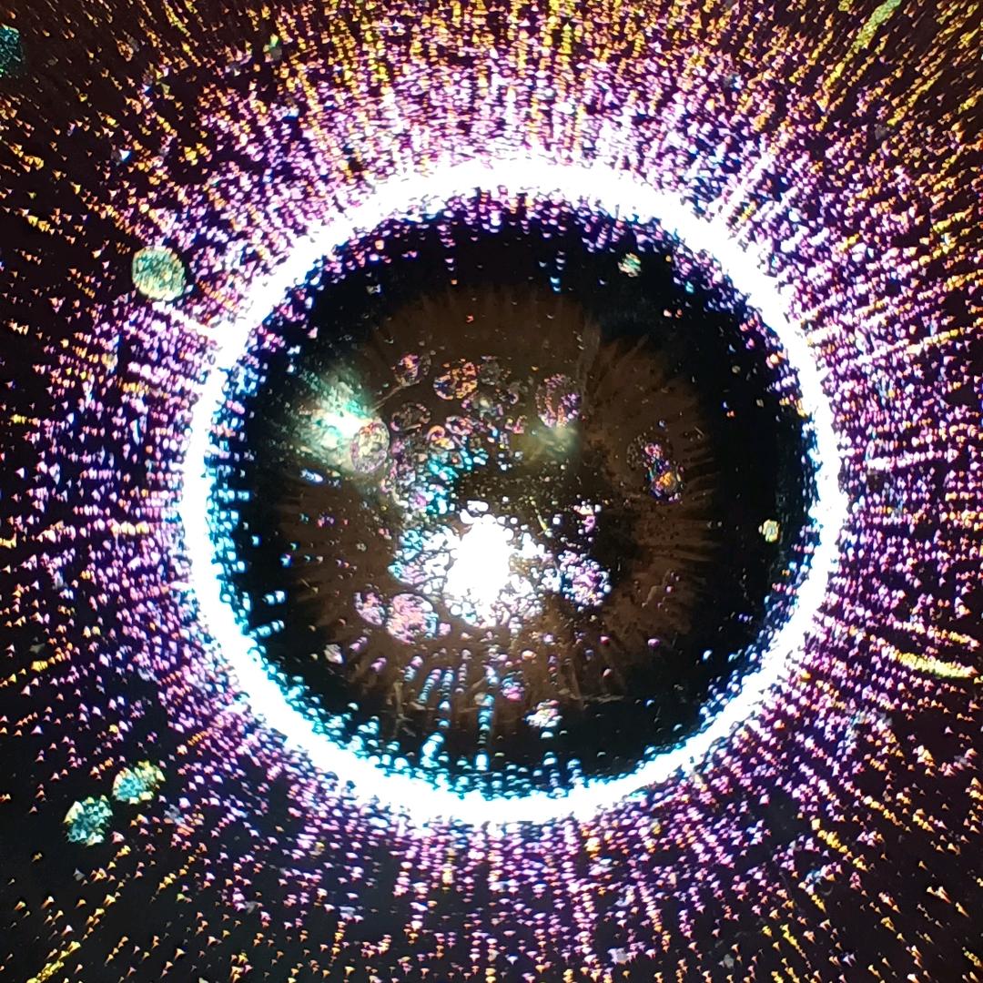 ●´৺`999´৺`●