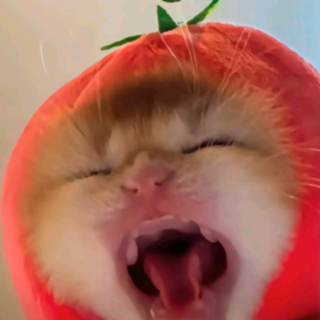 戀愛不是偶像寫歌