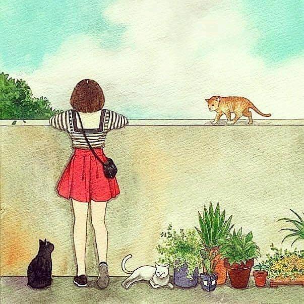 80后的小猴子