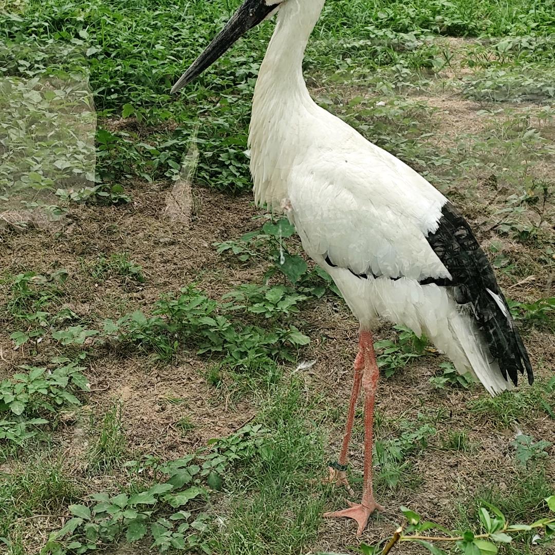 知足常乐