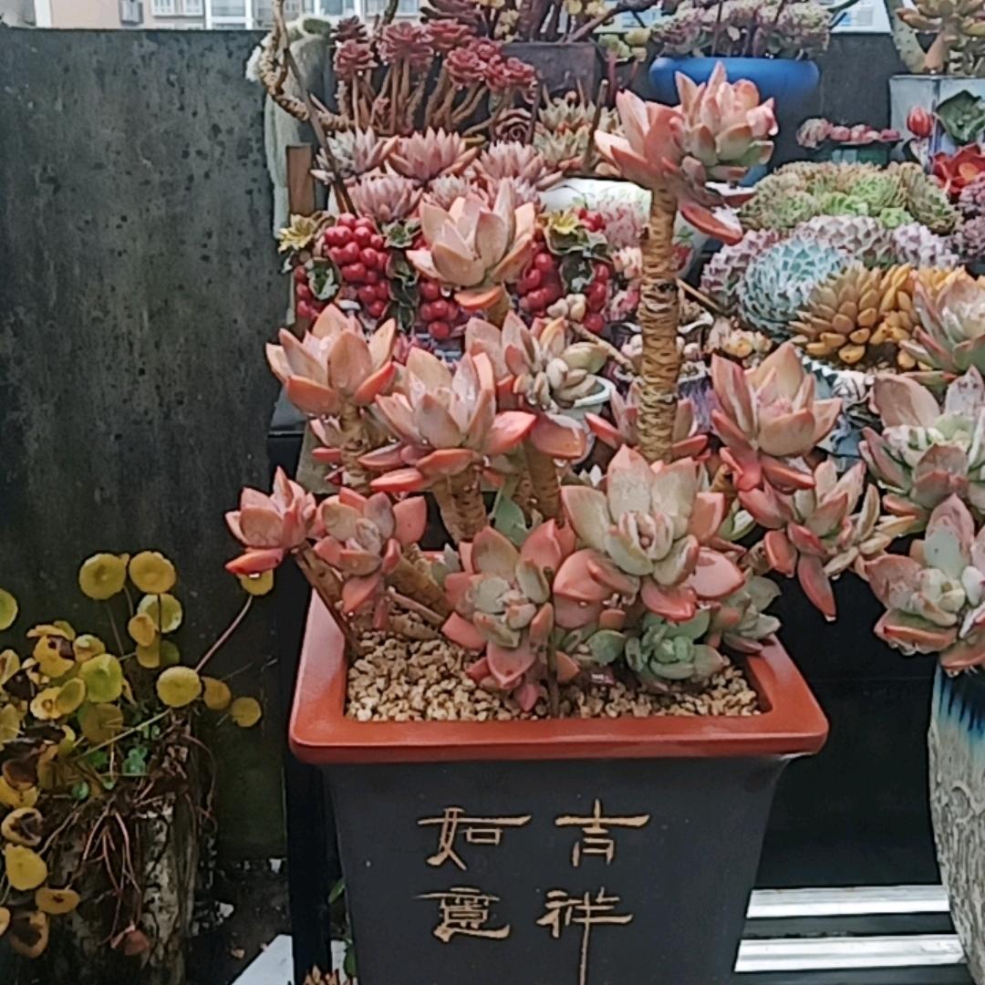独山永恒