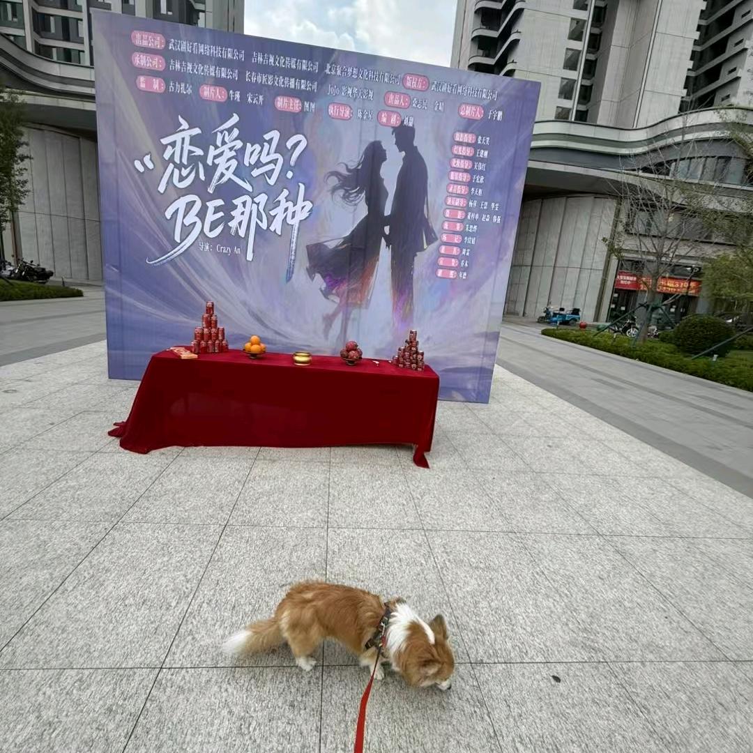 我是真的不会骑