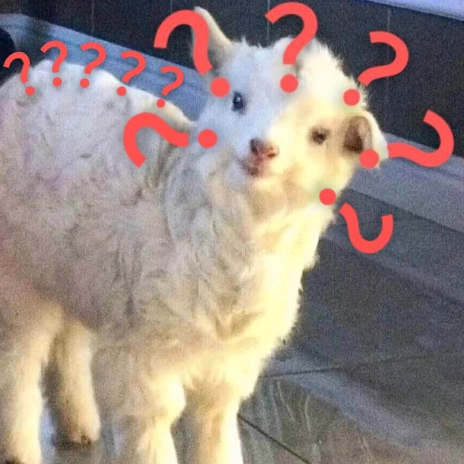 Wxiao