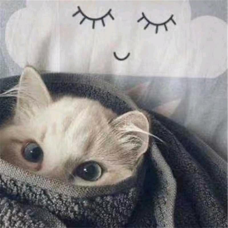 哈哈😃