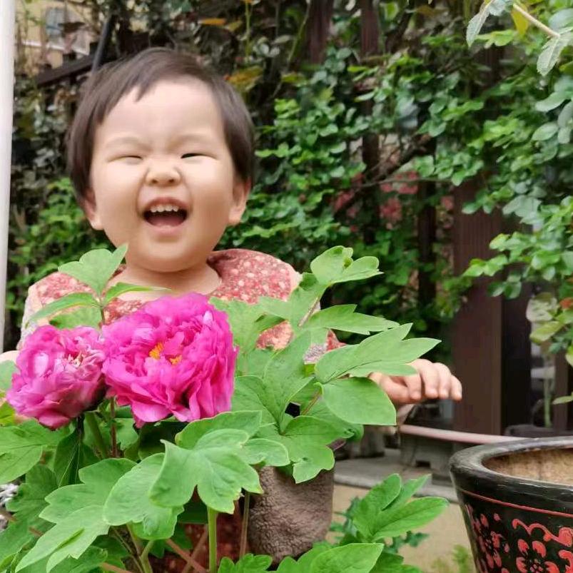 鱼姐姐