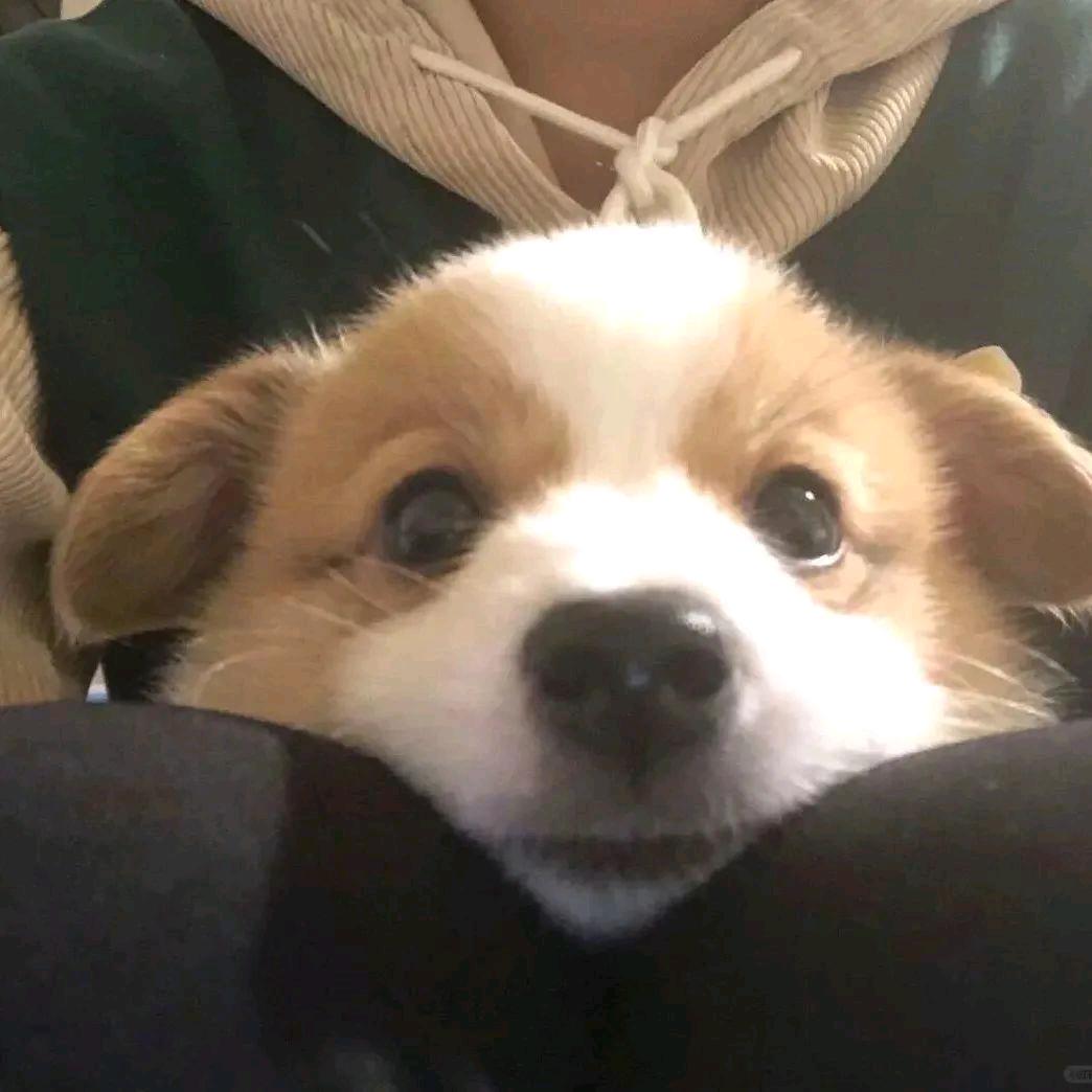 你猜我是不是喷子