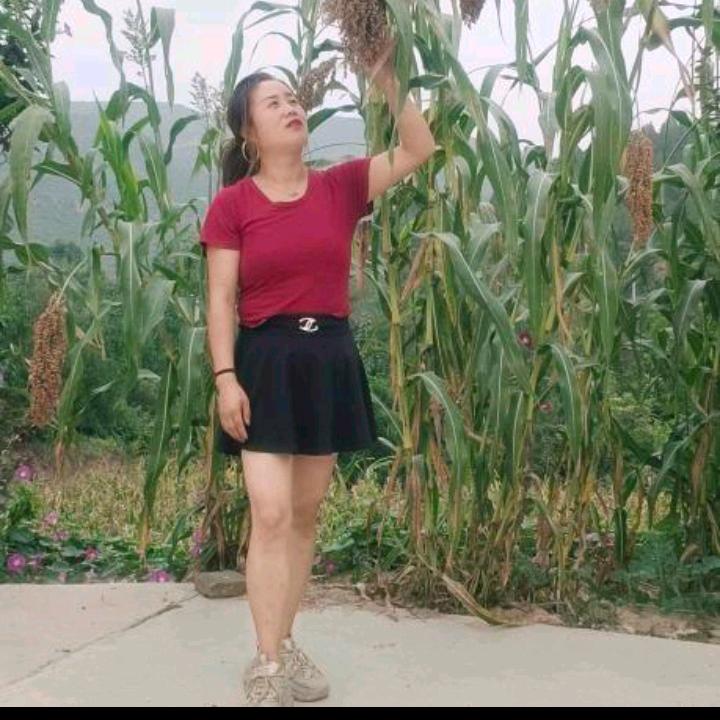 小姨子（小号）