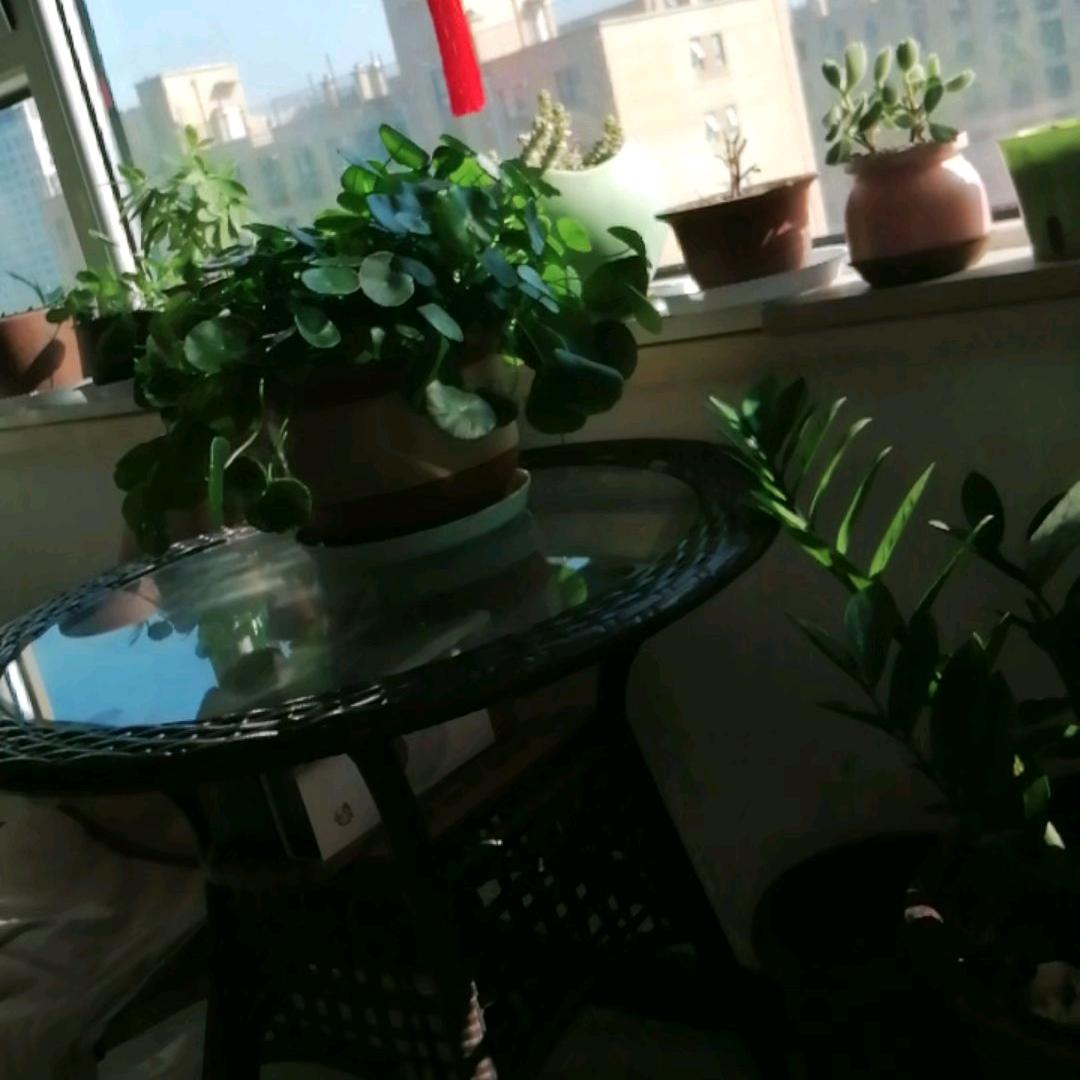 步云轩家居布置