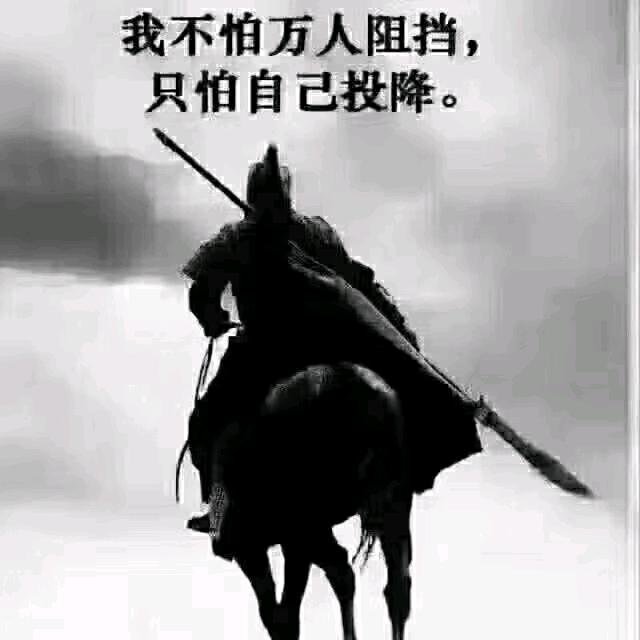 雨夜听雨