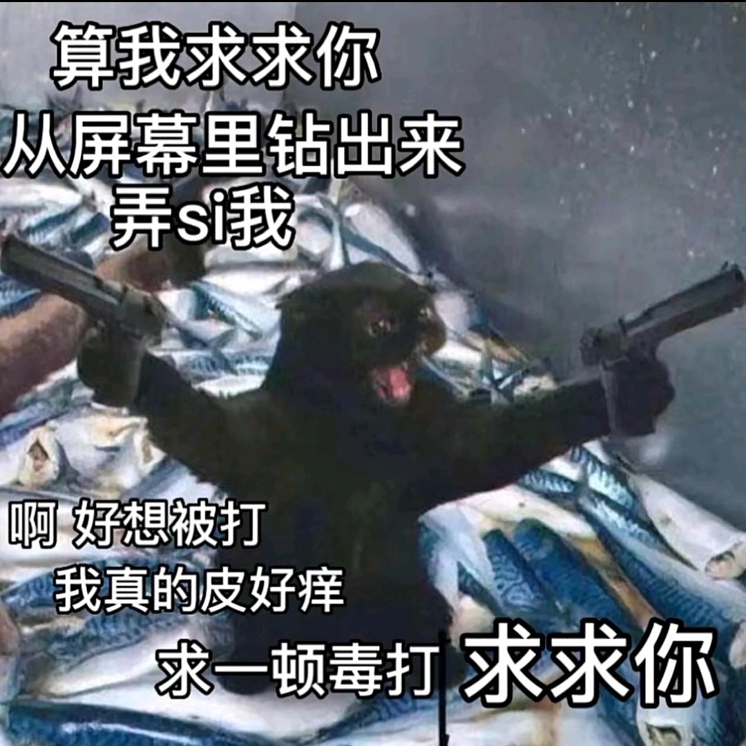 稚羽(๑><๑）