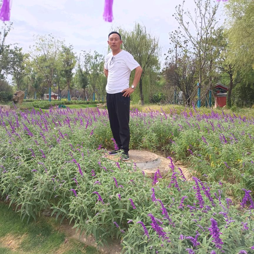 永胜驾校(张金榜)教练A,B,C