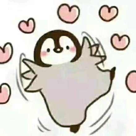 倩倩q