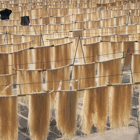 红薯粉条红薯豆粉批发零售