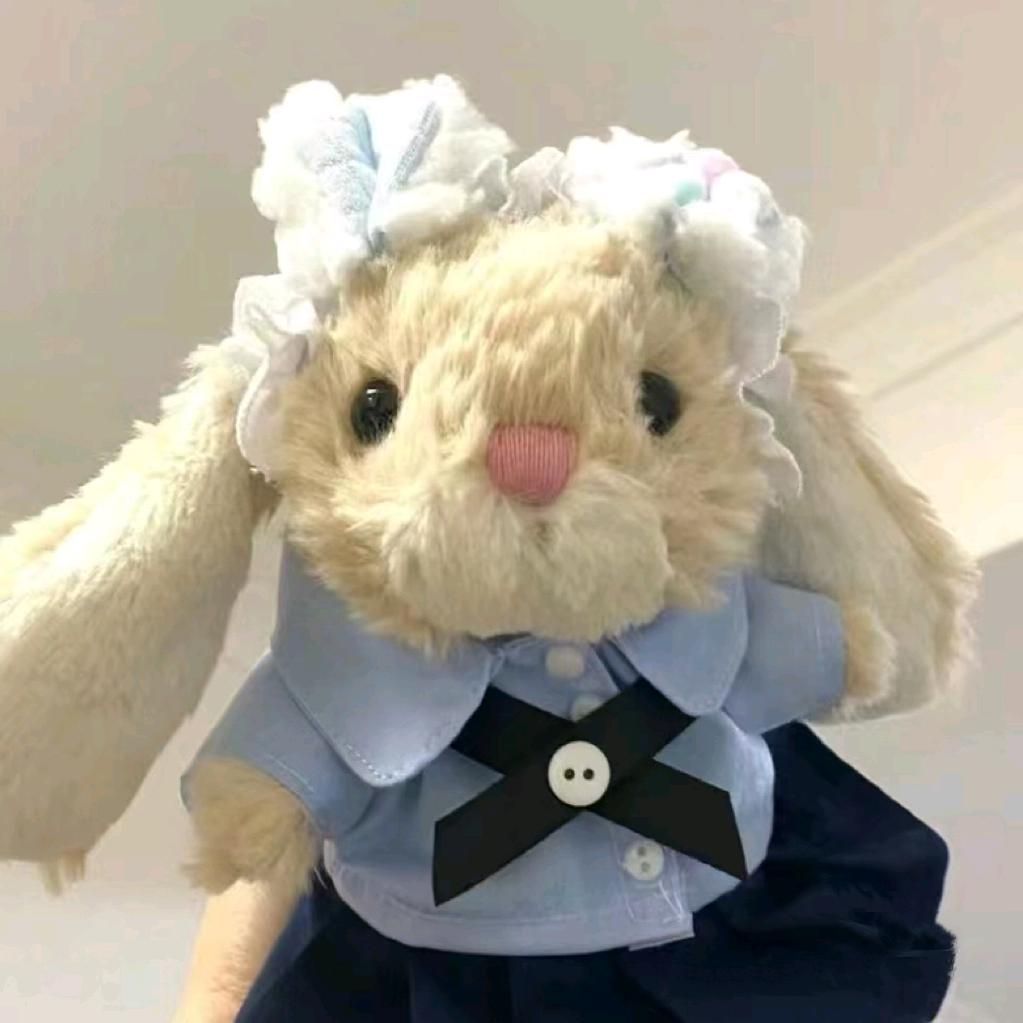 猫猫