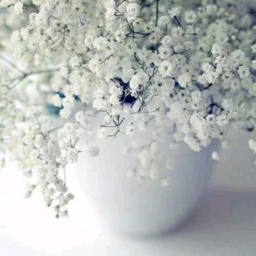 春去春回《拒绝私聊）