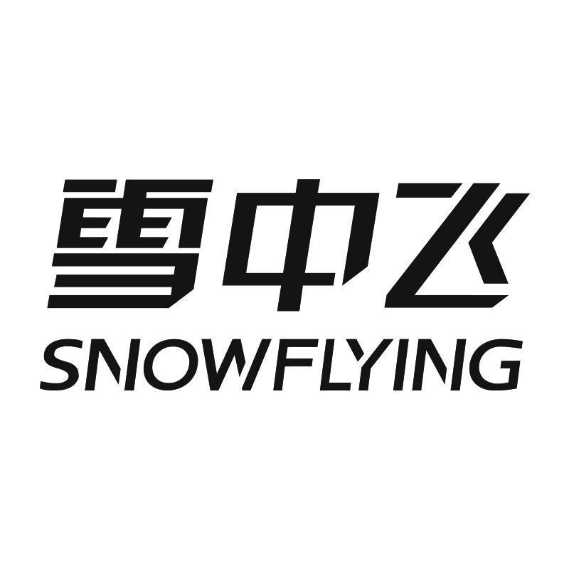 雪中飞九冬女装专卖店