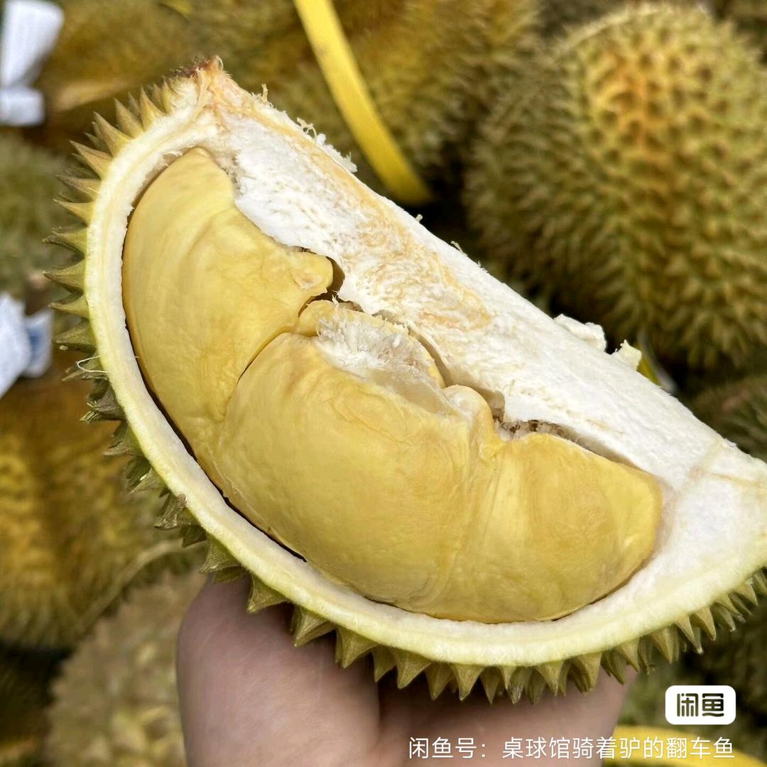 小满足榴莲