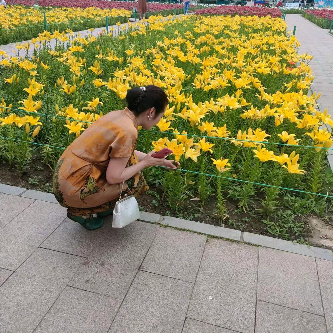 别来无恙