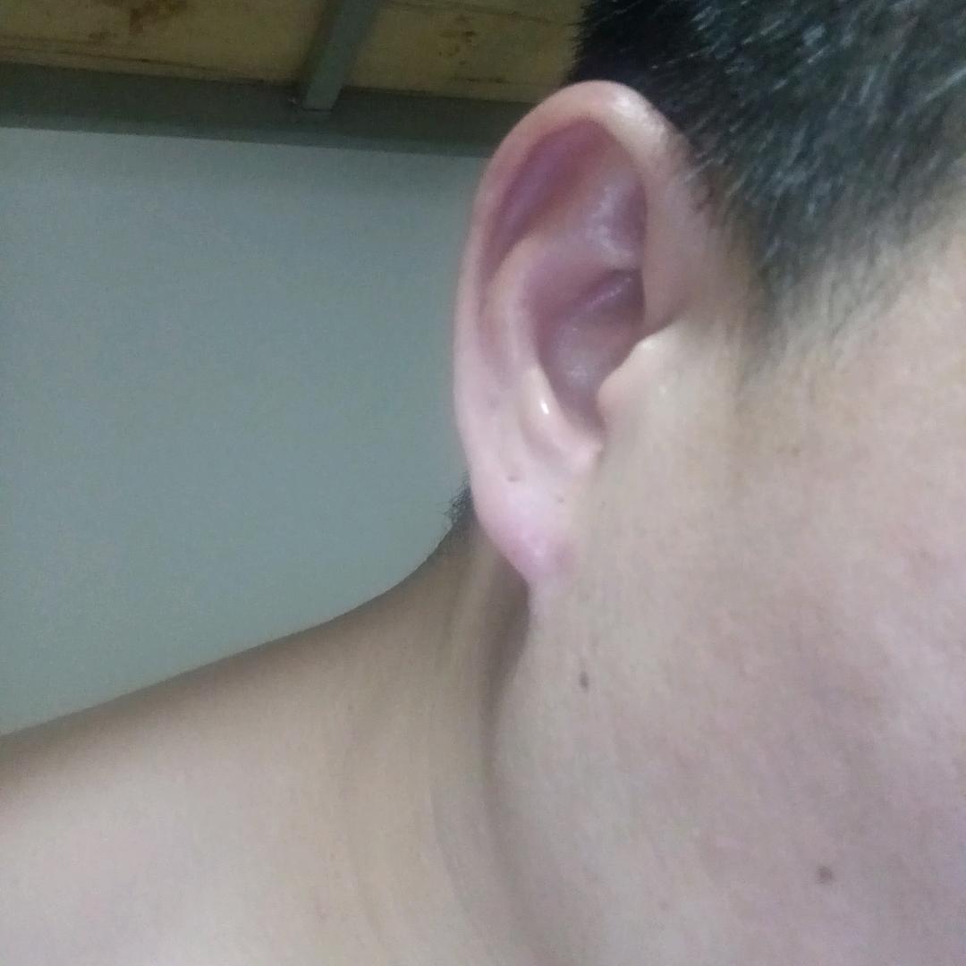 聆听耳朵的海